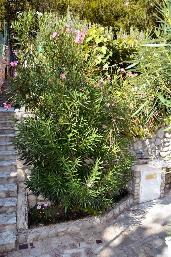 Apartment Zelena Oaza لوفغان المظهر الخارجي الصورة